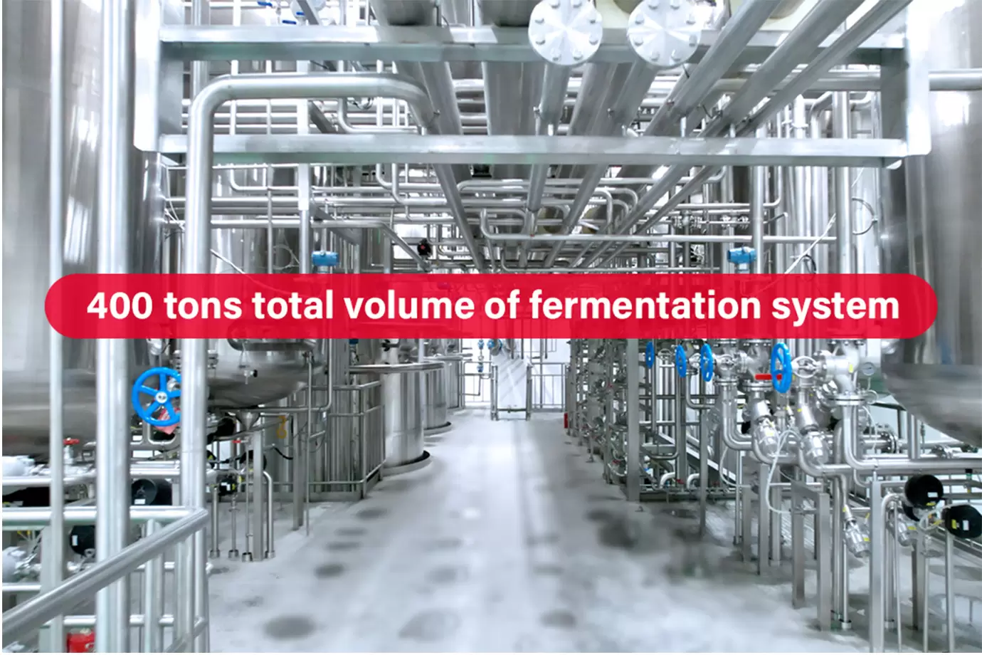 Quy trình sản xuất khép kín tại Wecare Probiotics