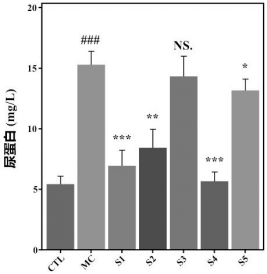 urinary protein