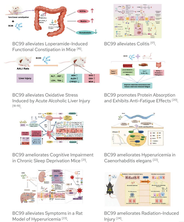 正在上传... image.png